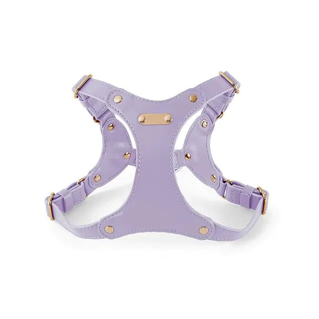 Stylish Adjustable Leather Pet Harness Vest - Stand Out on Every Stroll: Elegant Designs for the Trendy Pet!