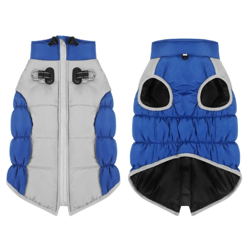 Windproof Winter: Pet Clothes Cozy