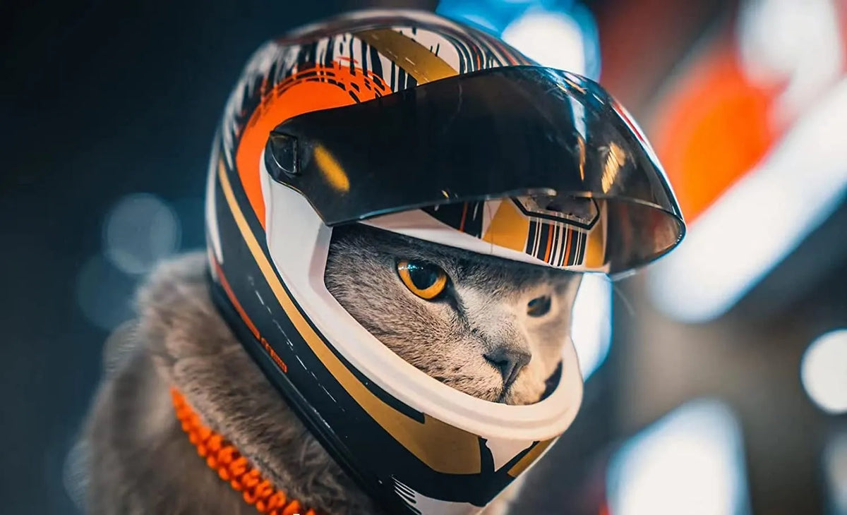 Full Face Pet Motorcycle Helmet: Ride Safe & Stylish