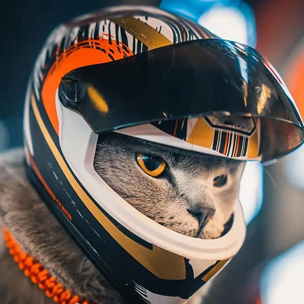 Full Face Pet Motorcycle Helmet: Ride Safe & Stylish