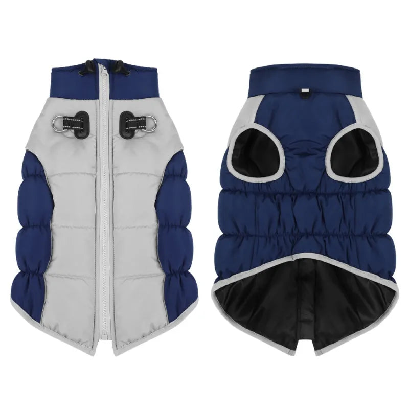 Windproof Winter: Pet Clothes Cozy