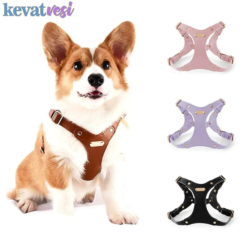 Stylish Adjustable Leather Pet Harness Vest - Stand Out on Every Stroll: Elegant Designs for the Trendy Pet!