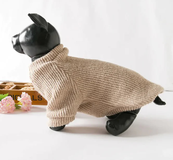 Small Dog Sweater: Warm & Fashionable