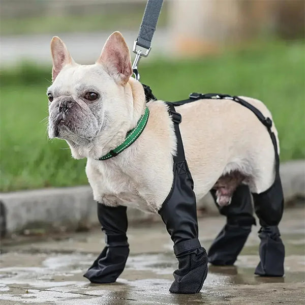 Waterproof Dog Boots: Perfect, Adjustable Paw Protection