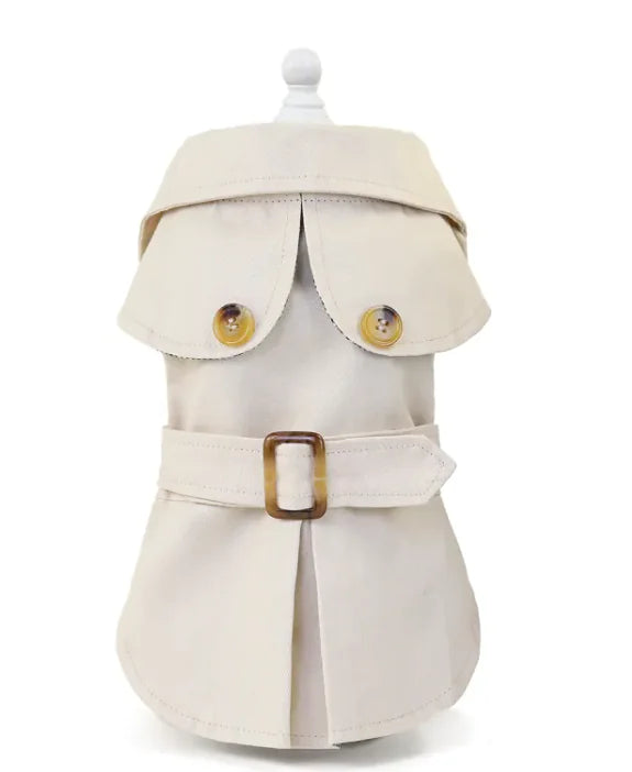 Pet Style: Fashionable & Functional Pet Apparel