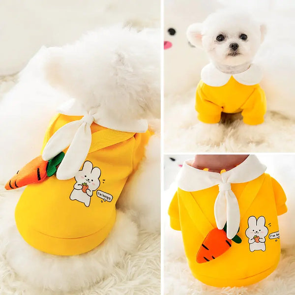 Costume Pet Clothing for Dogs and Cats