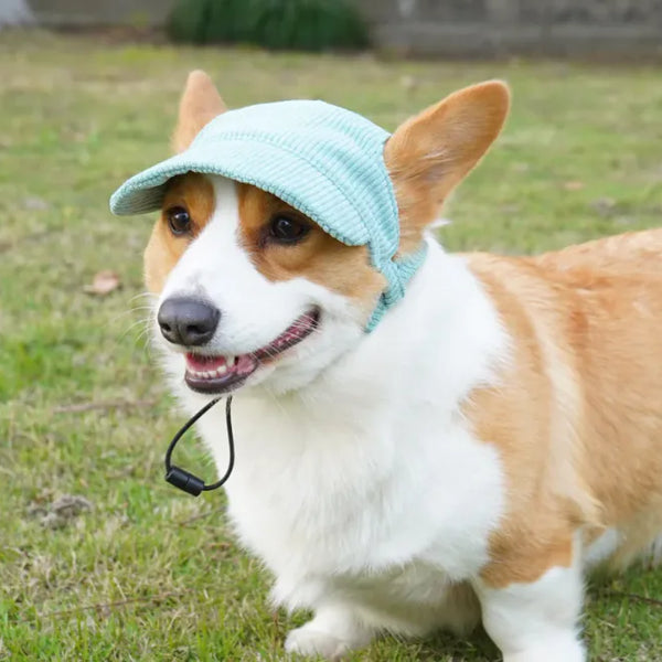 Casual Pet Hat: Sun's Out, Hats On