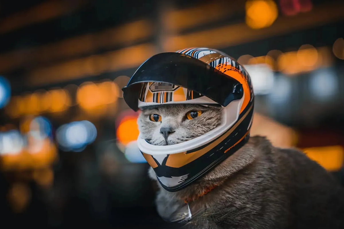 Full Face Pet Motorcycle Helmet: Ride Safe & Stylish