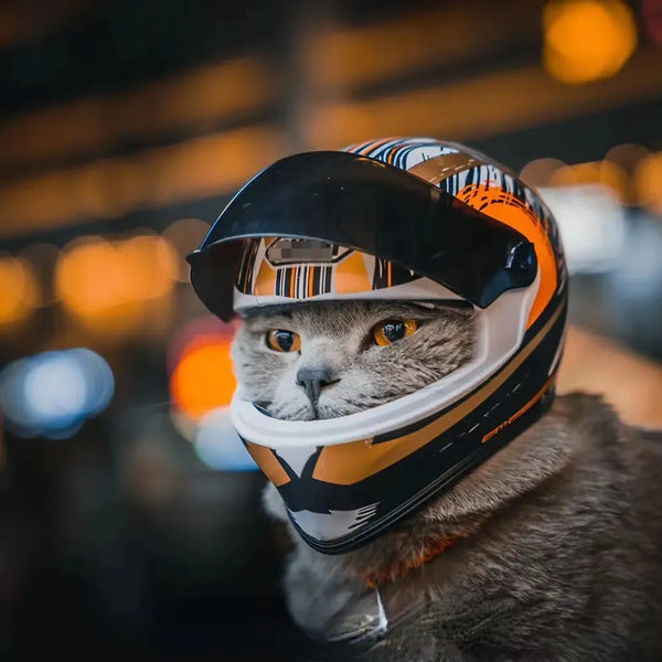 Full Face Pet Motorcycle Helmet: Ride Safe & Stylish