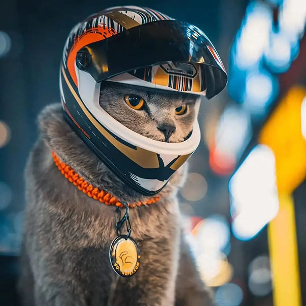 Full Face Pet Motorcycle Helmet: Ride Safe & Stylish