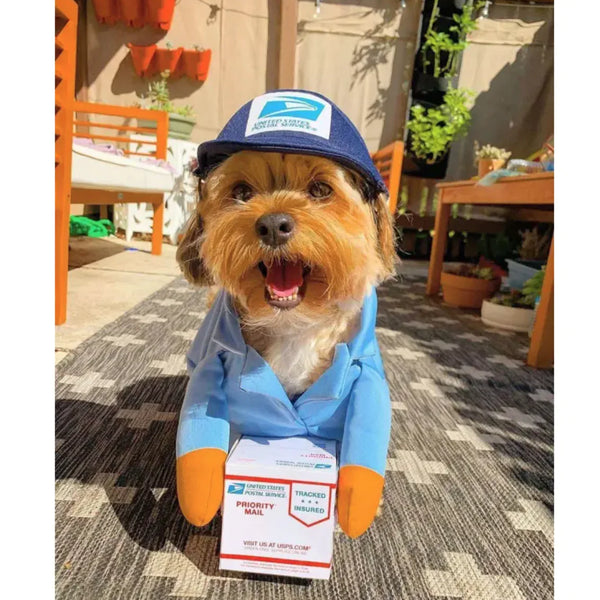 Dog Delivery Costume: Cute & Hilarious