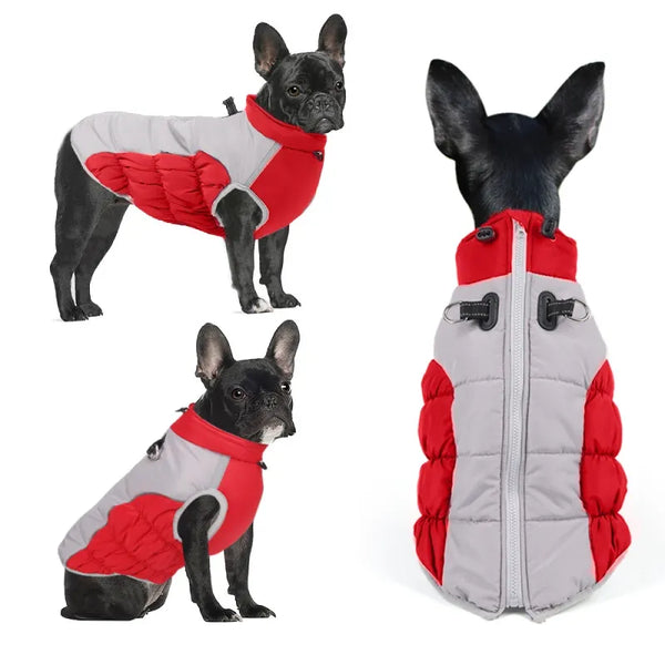 Windproof Winter: Pet Clothes Cozy