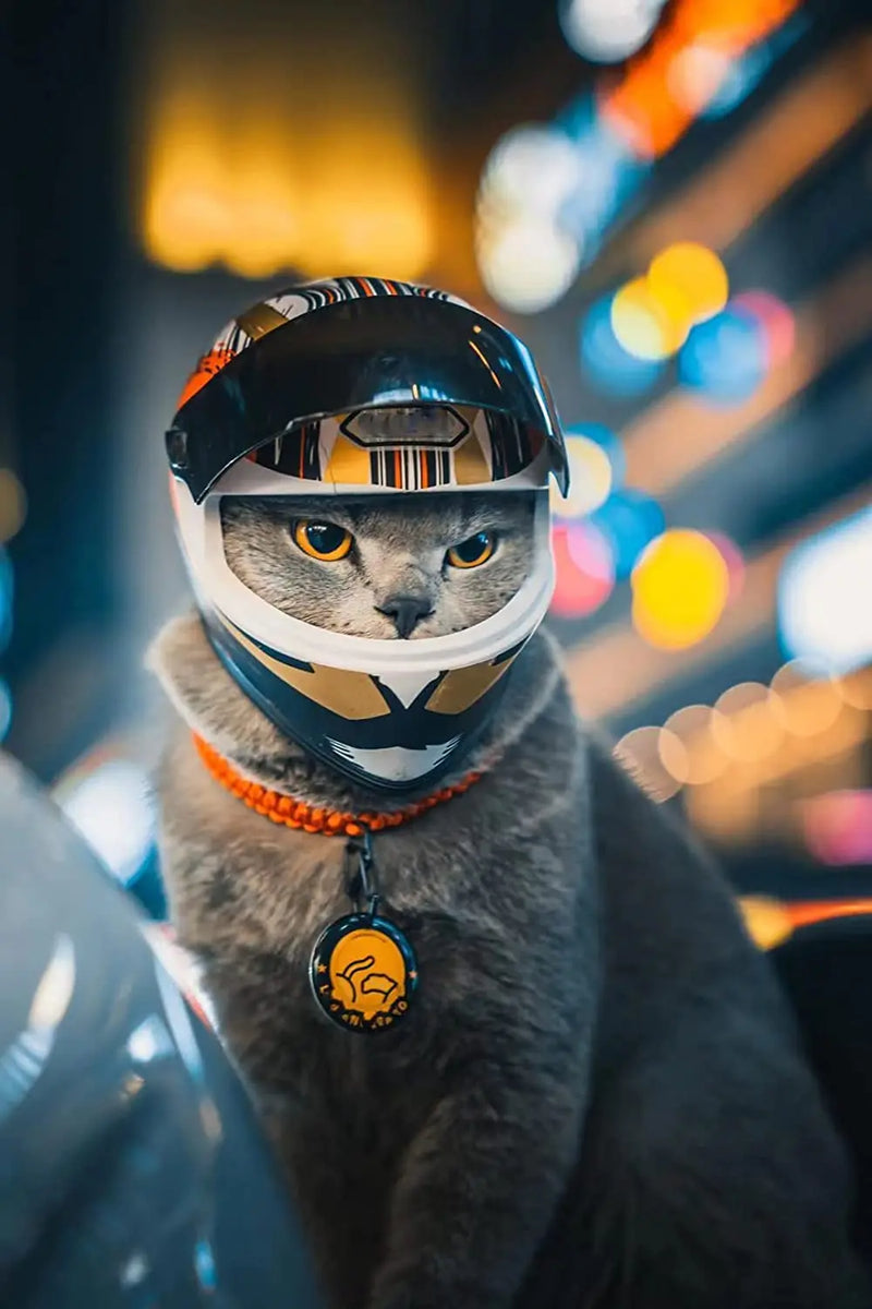 Full Face Pet Motorcycle Helmet: Ride Safe & Stylish