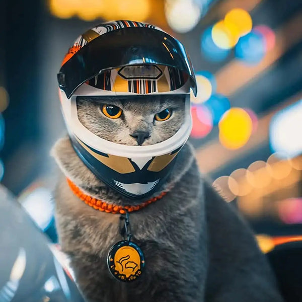 Full Face Pet Motorcycle Helmet: Ride Safe & Stylish