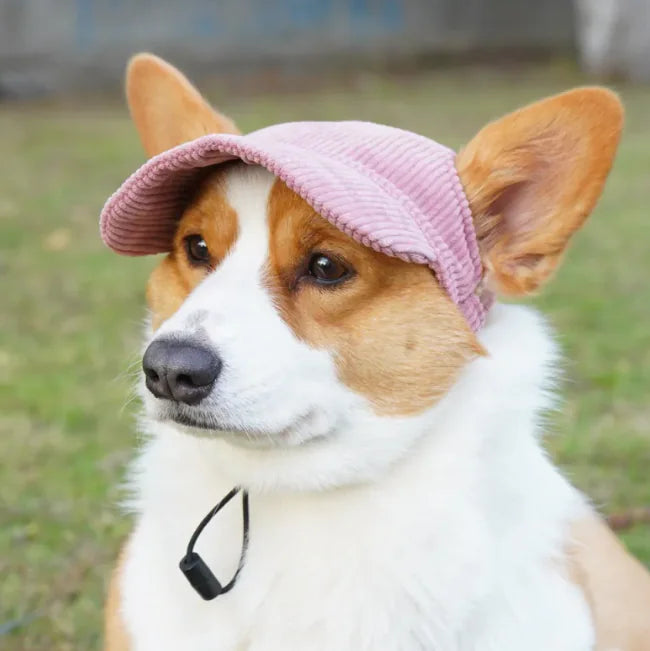 Casual Pet Hat: Sun's Out, Hats On