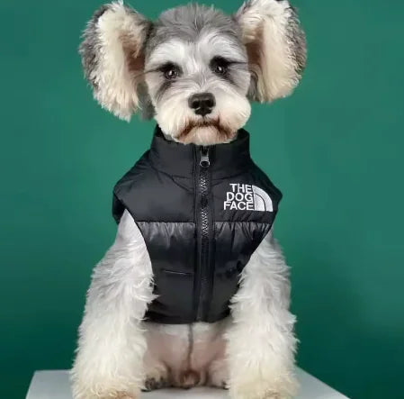 Puppy Down Jacket: Sleeveless, Warm & Stylish