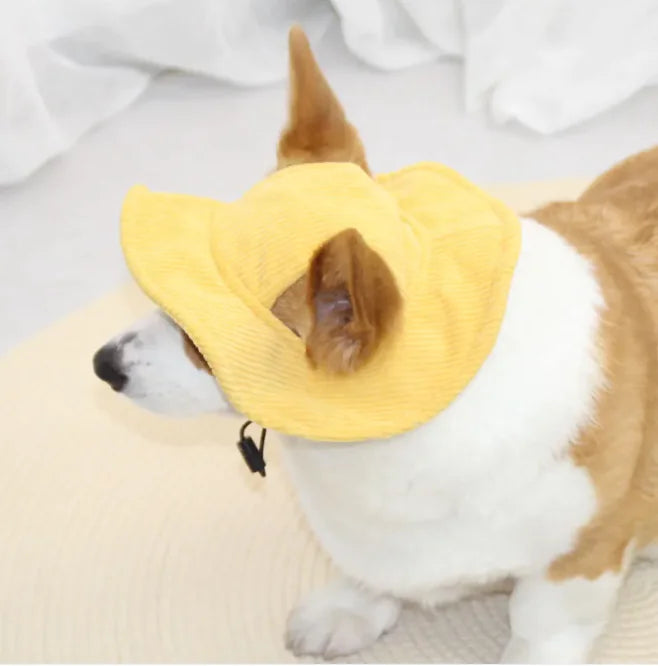 Casual Pet Hat: Sun's Out, Hats On