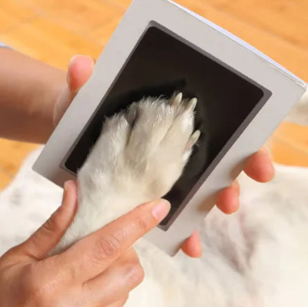 One-Touch Paw Prints: Capture Memories Instantly