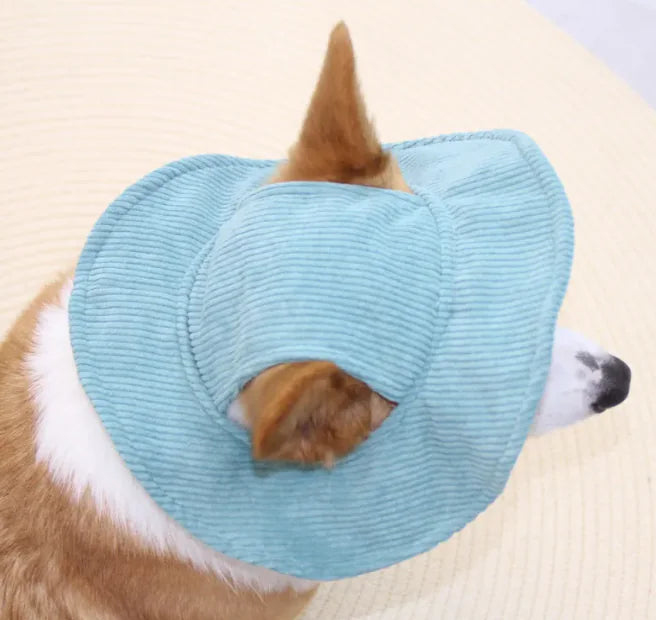 Casual Pet Hat: Sun's Out, Hats On