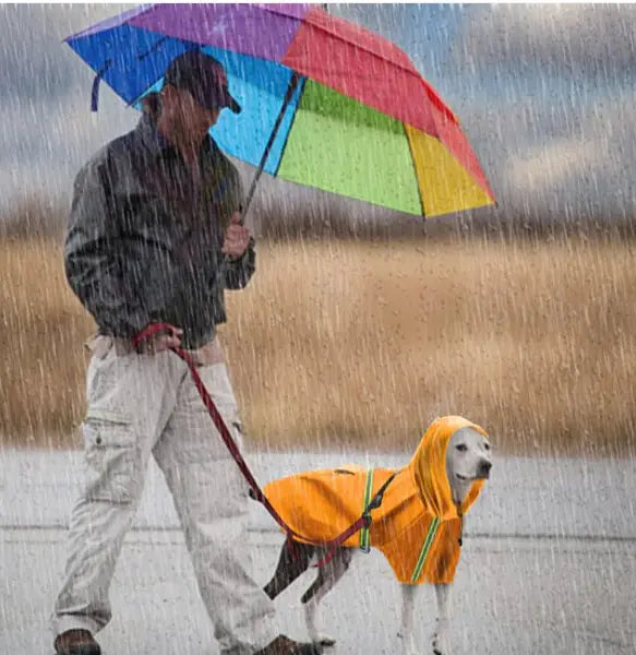 Pets Rain Coat: Adventure in Any Weather