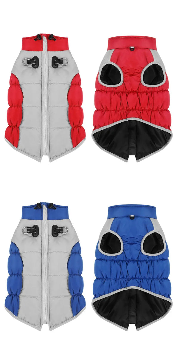 Windproof Winter: Pet Clothes Cozy