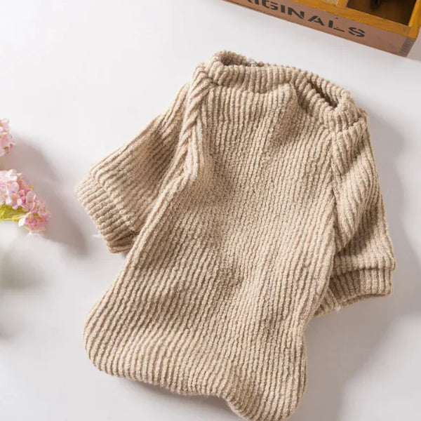 Small Dog Sweater: Warm & Fashionable