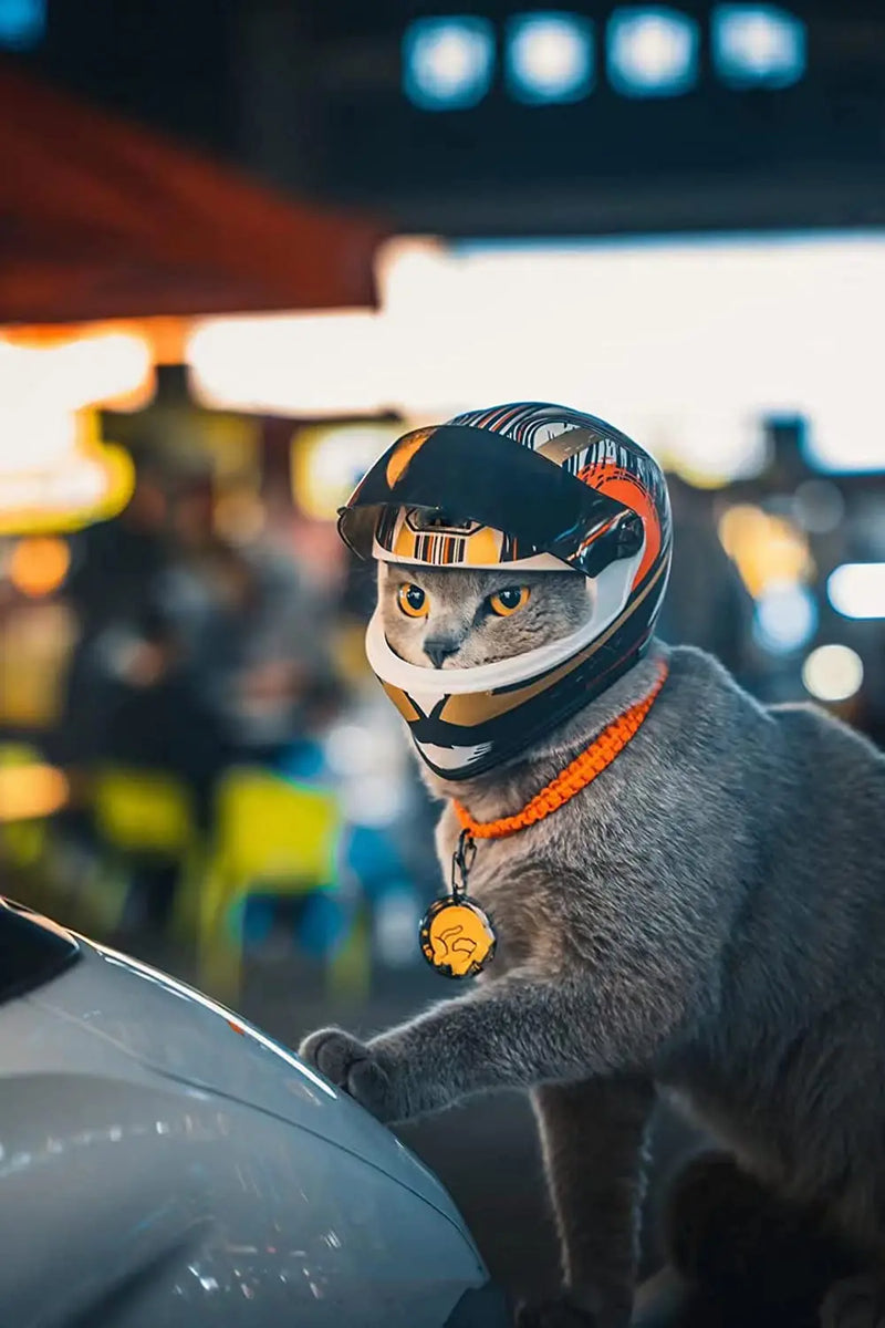 Full Face Pet Motorcycle Helmet: Ride Safe & Stylish