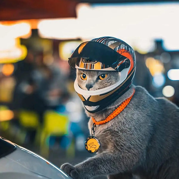 Full Face Pet Motorcycle Helmet: Ride Safe & Stylish