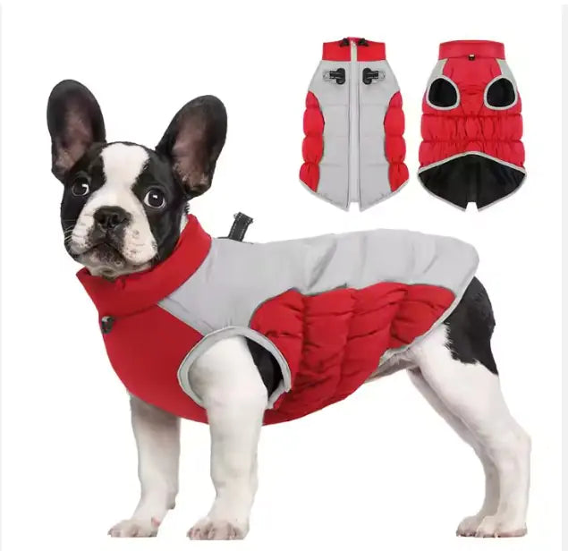 Windproof Winter: Pet Clothes Cozy