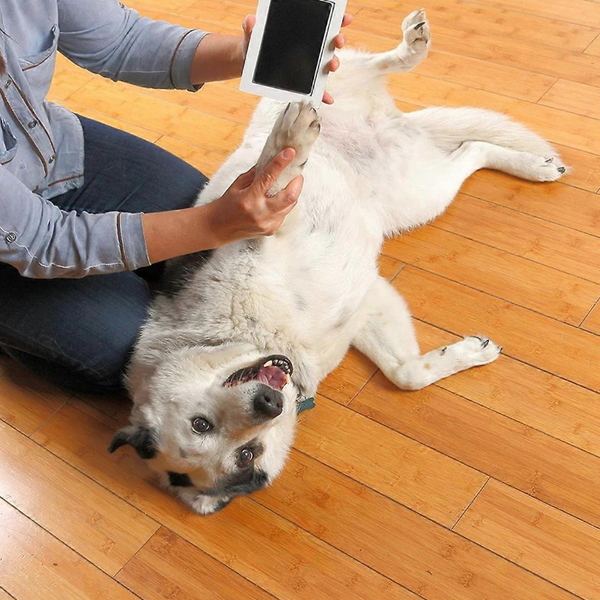 One-Touch Paw Prints: Capture Memories Instantly