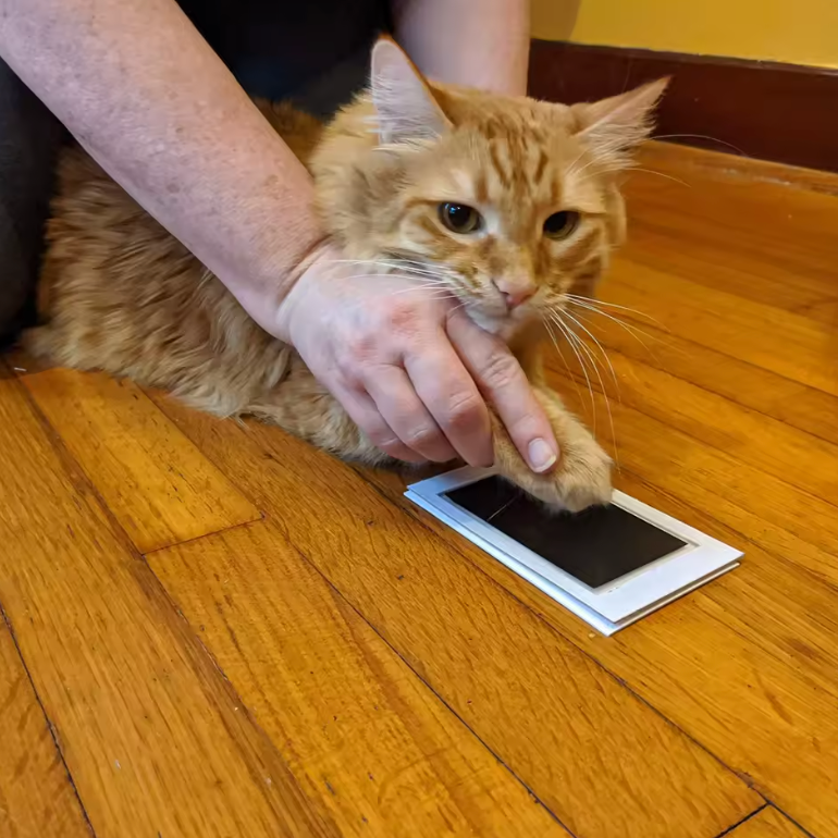 One-Touch Paw Prints: Capture Memories Instantly