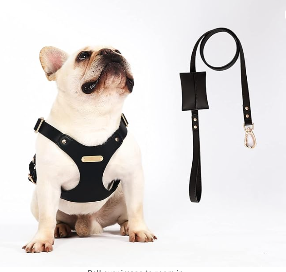 Stylish Adjustable Leather Pet Harness Vest - Stand Out on Every Stroll: Elegant Designs for the Trendy Pet!