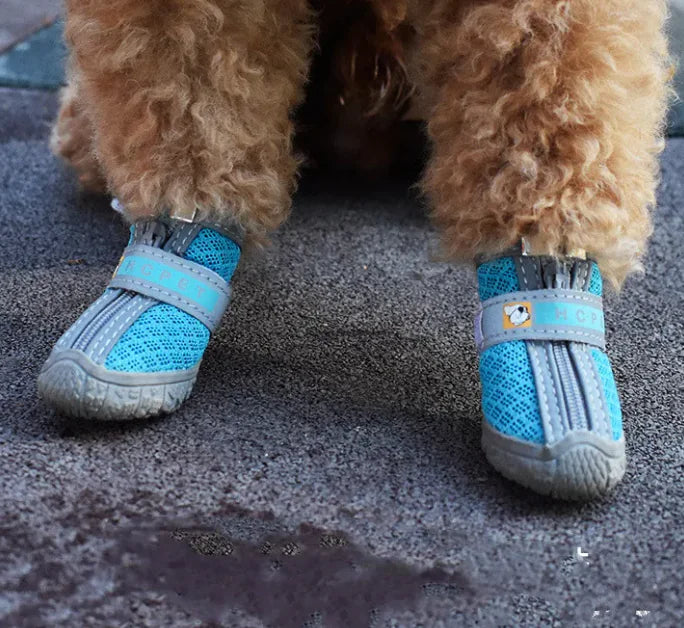 Pet Shoes: Protect Those Paws!