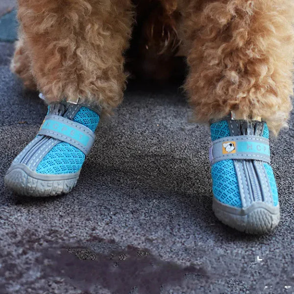 Pet Shoes: Protect Those Paws!