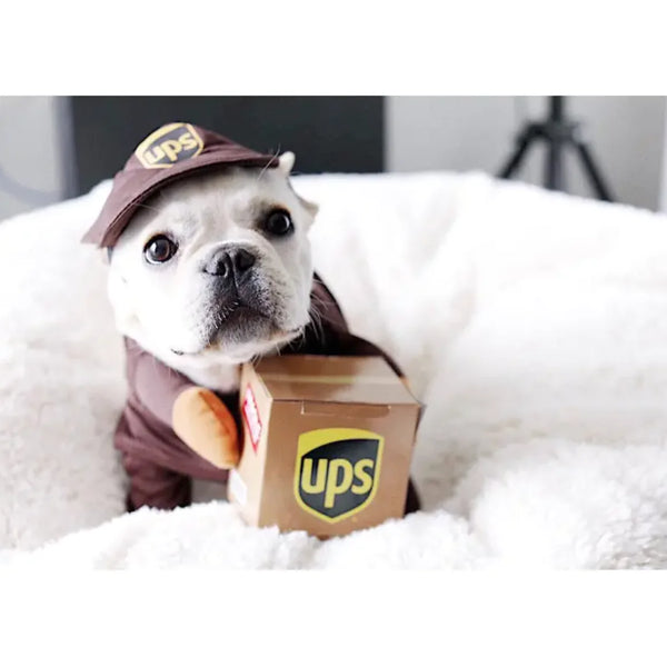 Dog Delivery Costume: Cute & Hilarious