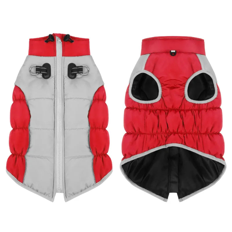 Windproof Winter: Pet Clothes Cozy