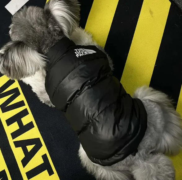 Puppy Down Jacket: Sleeveless, Warm & Stylish