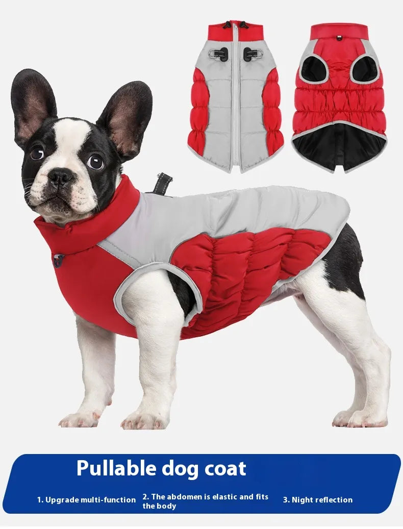 Windproof Winter: Pet Clothes Cozy