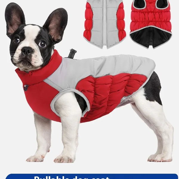 Windproof Winter: Pet Clothes Cozy