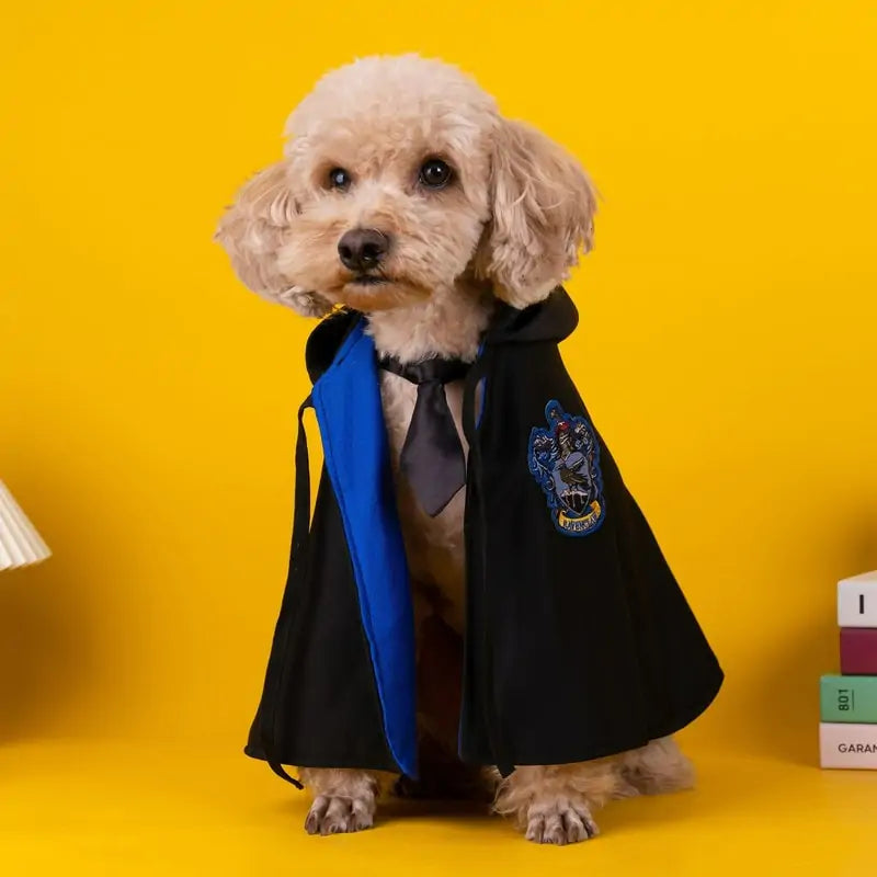 Pet Cosplay Cloak: Magical Transformations