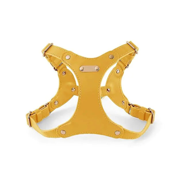 Stylish Adjustable Leather Pet Harness Vest - Stand Out on Every Stroll: Elegant Designs for the Trendy Pet!